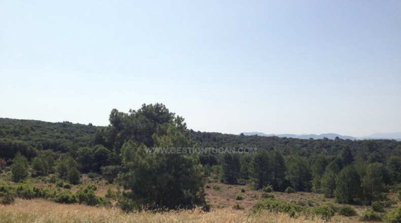 Albacete - Nerpio - 5000000m2