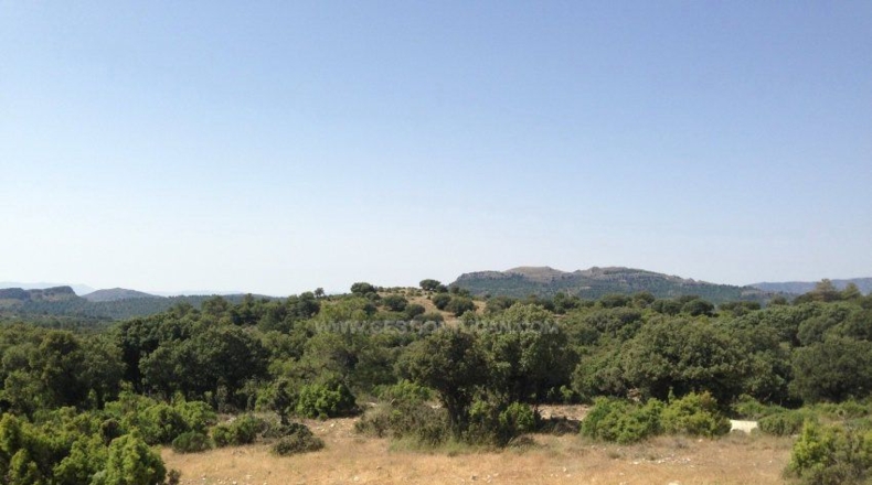 Albacete - Nerpio - 5000000m2