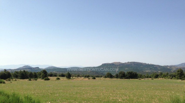 Albacete - Nerpio - 5000000m2