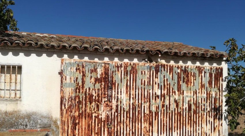 Toledo - Lucillos - 9000m2