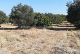 Lucillos 14282&nbsp;m² 