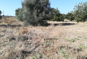 Lucillos 14282&nbsp;m² 