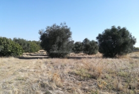 Lucillos 14282&nbsp;m² 