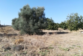 Lucillos 14282&nbsp;m² 
