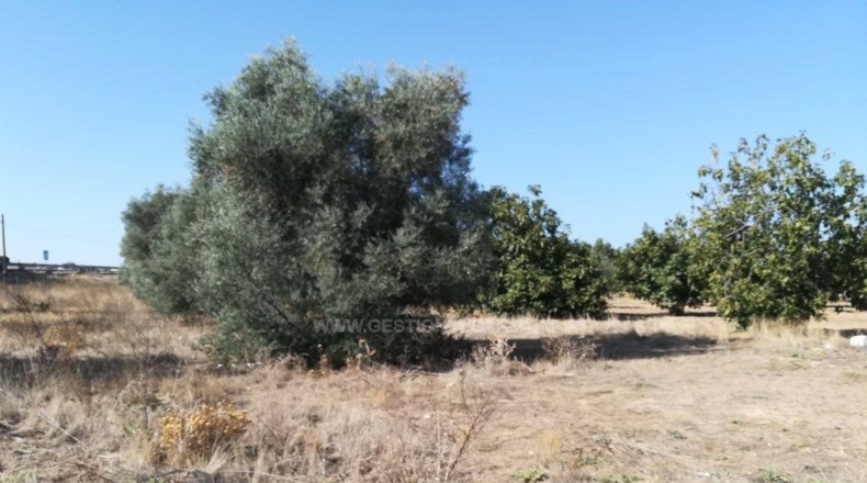 Toledo - Lucillos - 9000m2