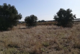Lucillos 14282&nbsp;m² 