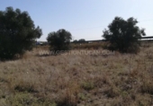 Finca rústica en venda a Lucillos ref.: TR53859 foto