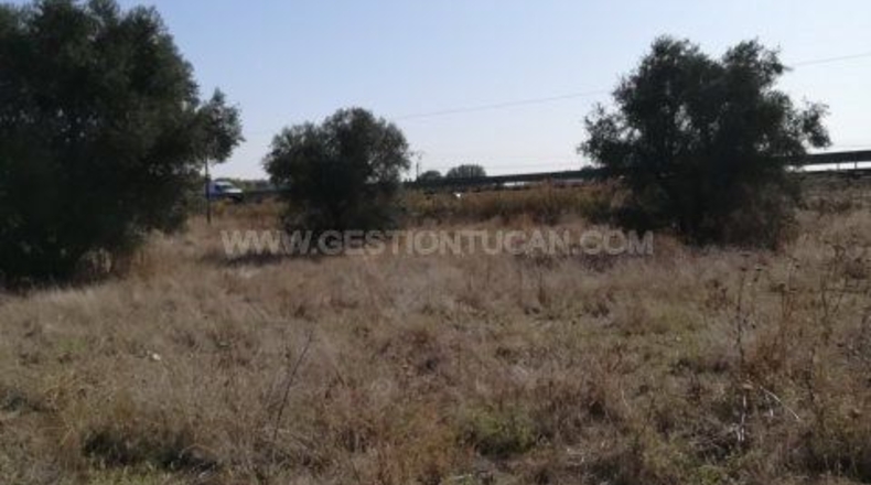 Toledo - Lucillos - 9000m2