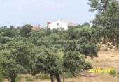 Finca rústica en venda a Alcántara ref.: TR307959 foto