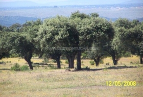 Alcántara 500&nbsp;m²