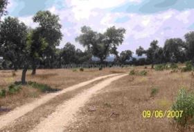 Alcántara 500&nbsp;m²