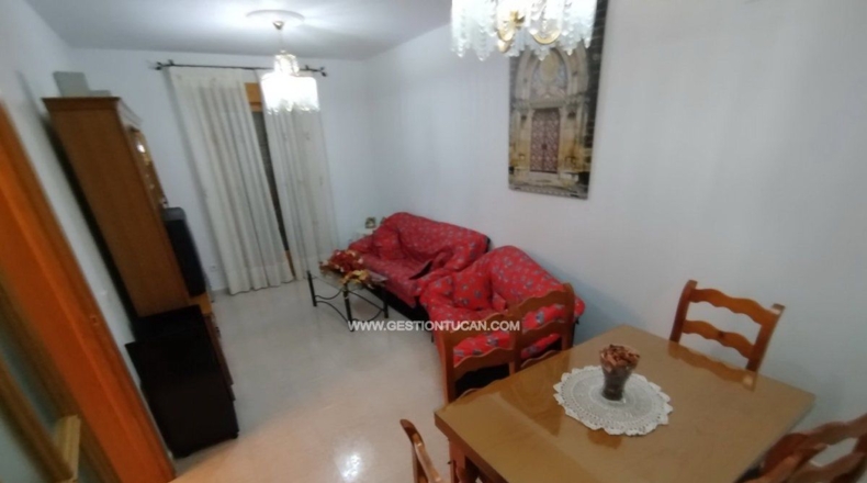Toledo - Pepino - 620m2