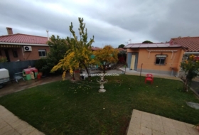 Foto 19