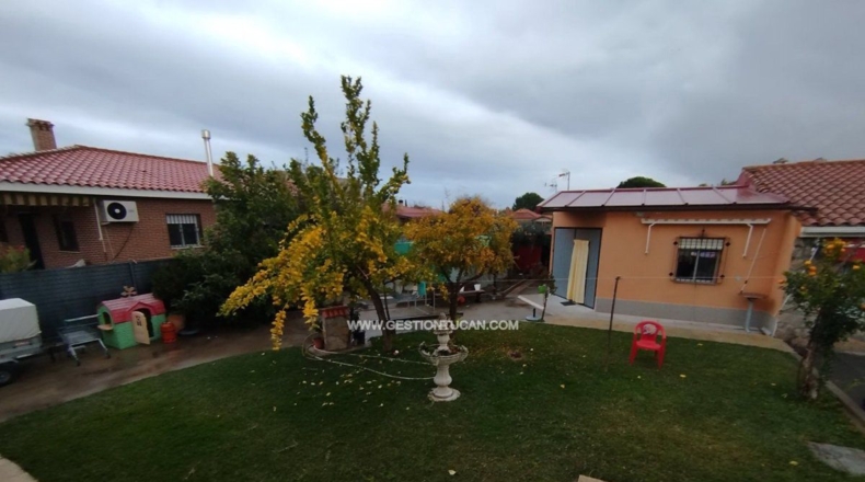 Toledo - Pepino - 620m2