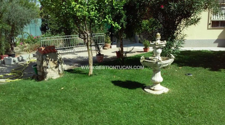 Toledo - Pepino - 620m2