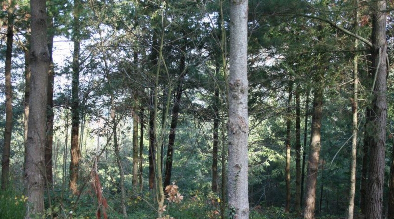 Gerona - Osor - 167m2