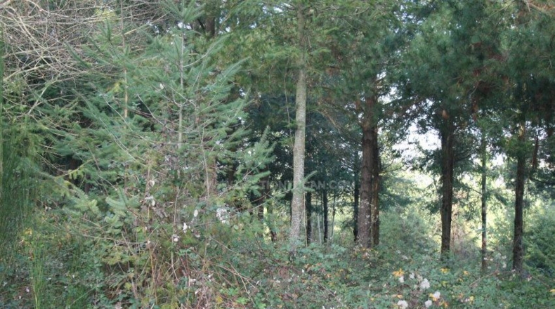 Gerona - Osor - 167m2