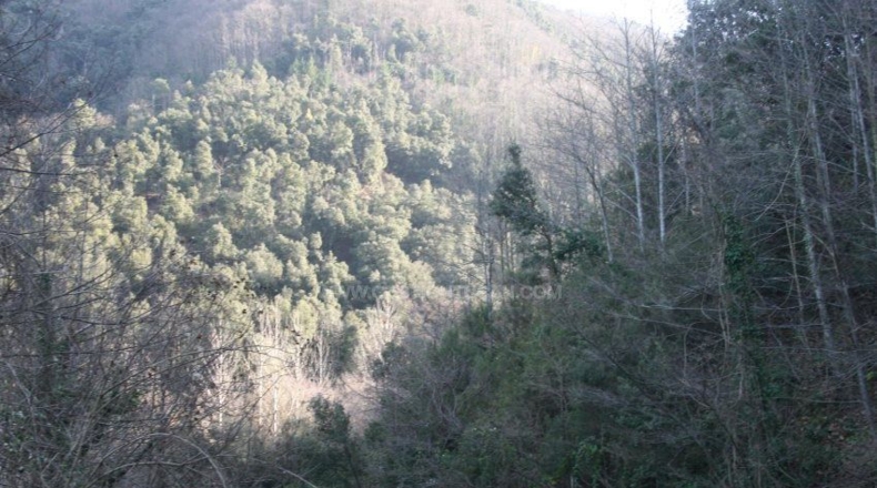 Gerona - Osor - 167m2
