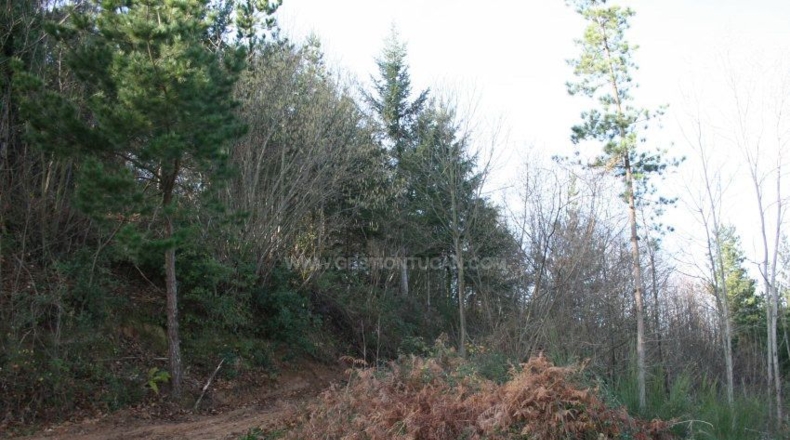 Gerona - Osor - 167m2