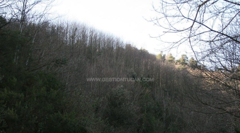 Gerona - Osor - 167m2