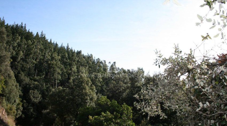 Gerona - Osor - 167m2