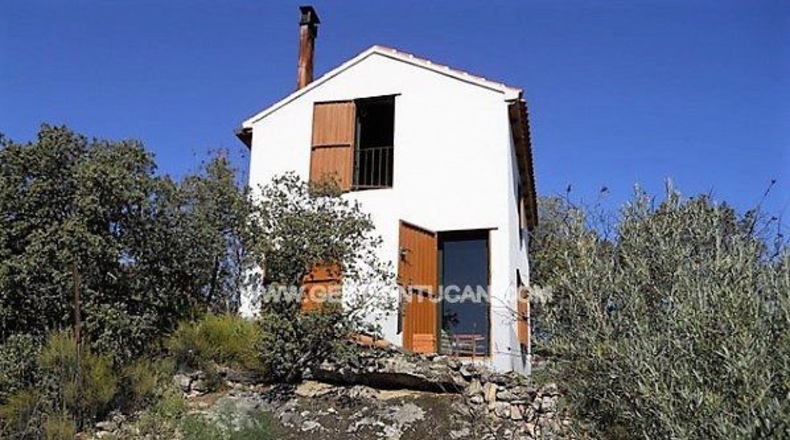 Toledo - San Martín de Pusa - 50000m2