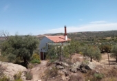 Rural estate for sale in San Martín de Pusa ref: TR53856 photo