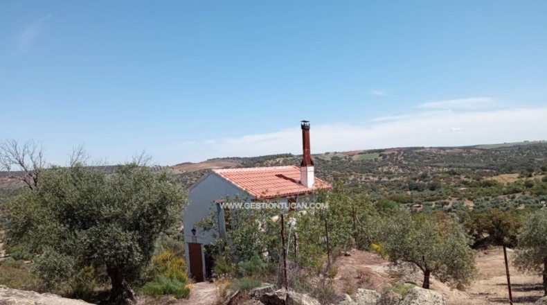 Toledo - San Martín de Pusa - 50000m2