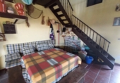 Rural estate for sale in San Martín de Pusa ref: TR53856 photo