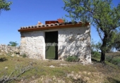 Rural estate for sale in San Martín de Pusa ref: TR53856 photo