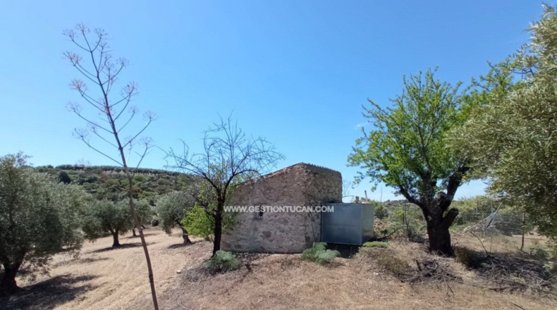 Toledo - San Martín de Pusa - 50000m2