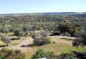 Rural estate for sale in San Martín de Pusa ref: TR53856 photo