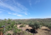 Rural estate for sale in San Martín de Pusa ref: TR53856 photo