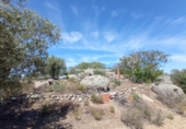 Rural estate for sale in San Martín de Pusa ref: TR53856 photo