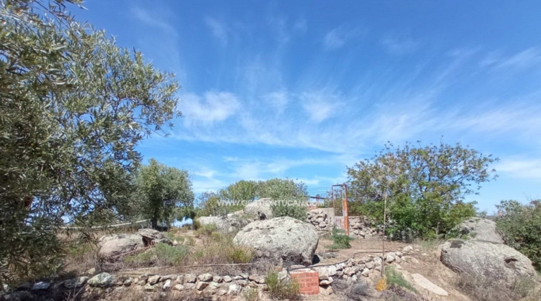 Toledo - San Martín de Pusa - 50000m2