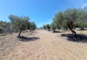 Rural estate for sale in San Martín de Pusa ref: TR53856 photo