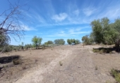 Rural estate for sale in San Martín de Pusa ref: TR53856 photo