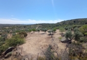 Rural estate for sale in San Martín de Pusa ref: TR53856 photo