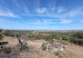 Rural estate for sale in San Martín de Pusa ref: TR53856 photo
