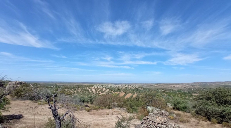 Toledo - San Martín de Pusa - 50000m2