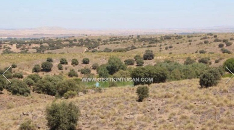 Toledo - Nambroca - 1360000m2