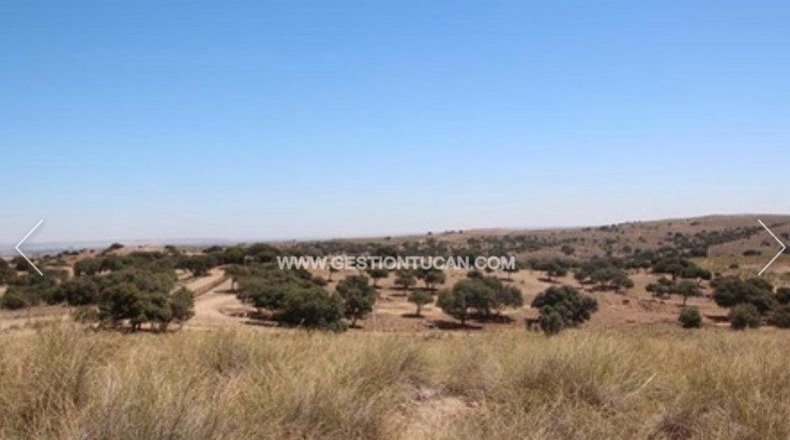 Toledo - Nambroca - 1360000m2