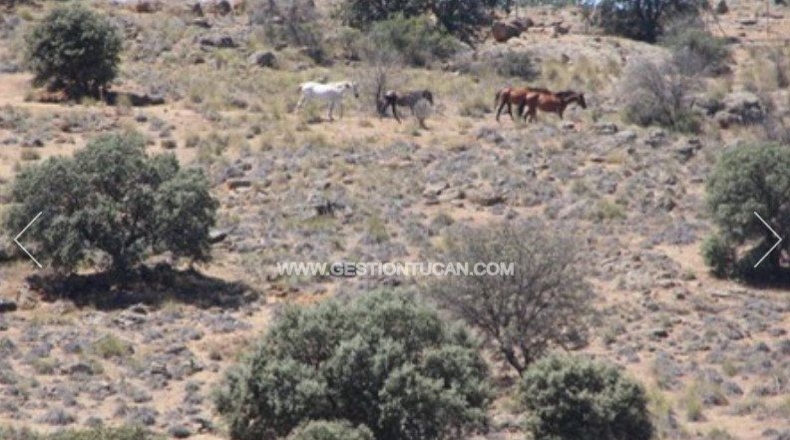 Toledo - Nambroca - 1360000m2