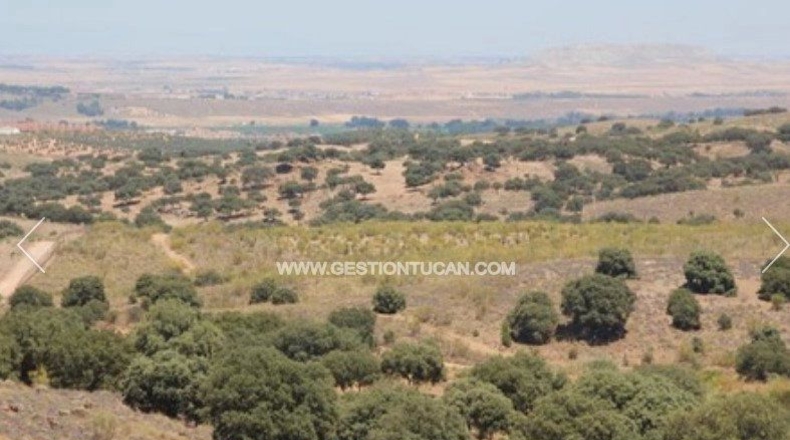 Toledo - Nambroca - 1360000m2