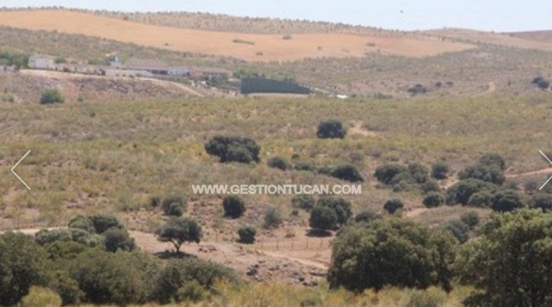 Toledo - Nambroca - 1360000m2