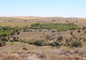 Terreno no urbanizable en venta en Nambroca ref: TR53855 foto