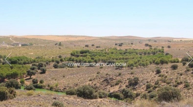 Toledo - Nambroca - 1360000m2