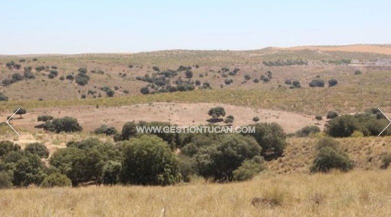 Toledo - Nambroca - 1360000m2