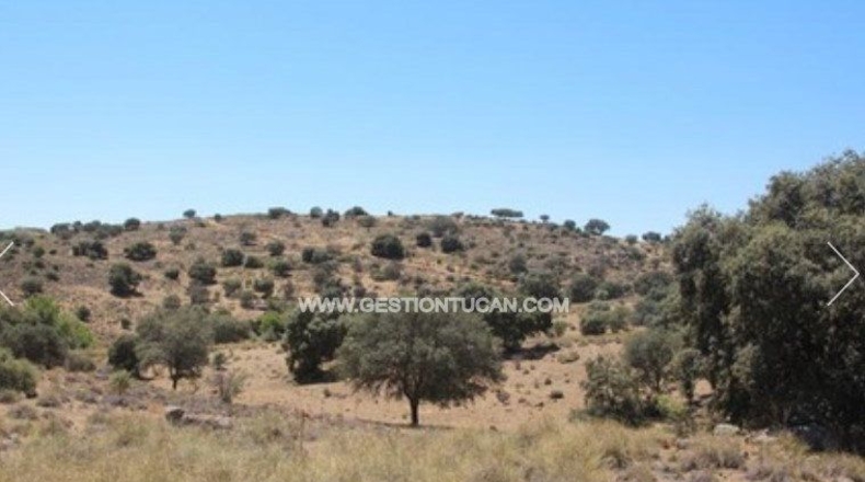 Toledo - Nambroca - 1360000m2