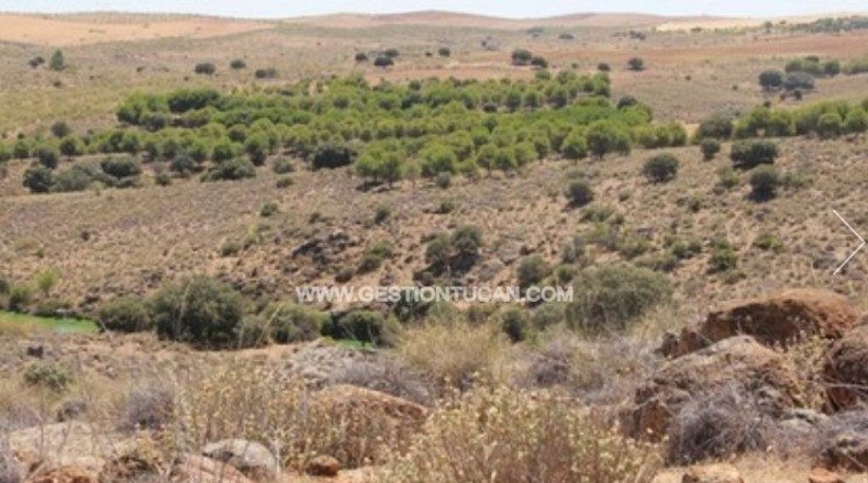 Toledo - Nambroca - 1360000m2